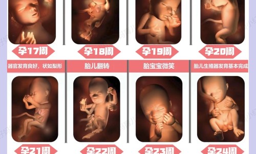 吃什么药让脚不出汗网 :分享脚不出汗用什么中药泡脚才能出汗呢-脚不出汗用什么中药泡脚才能出汗呢知识